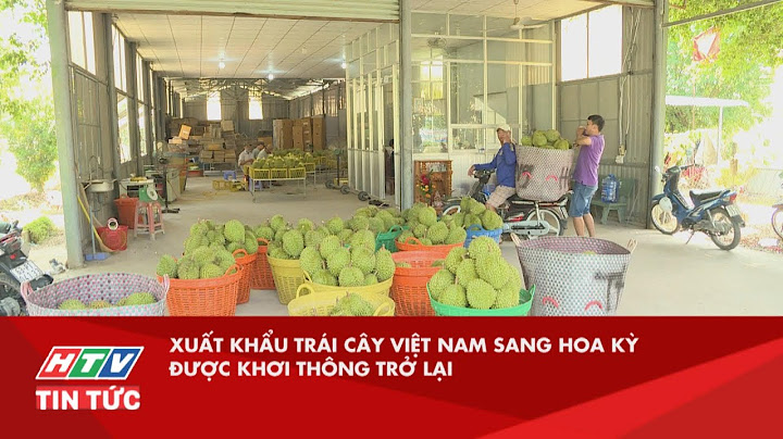 XUẤT KHẨU TRÁI CÂY VIỆT NAM SANG HOA KỲ ĐƯỢC KHƠI THÔNG TRỞ LẠI| HTV TIN TỨC
