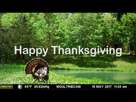 2017 Thanksgiving Day Hunt