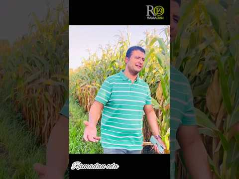 وهو النبي الماحي اناشيد اسلامية بصوت جميل رمضان عوده