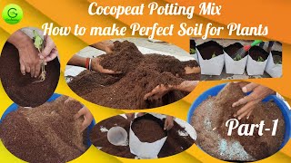 Cocopeat Potting Mix // कोकोपीट पॉटिंग मिक्स // Perfect Soil For Plants