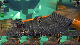 The Gnomeregan - Multibox 5 hunters wow classic