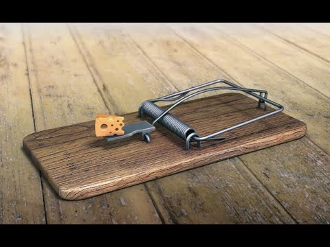 Мышеловка с СМС - YouTube