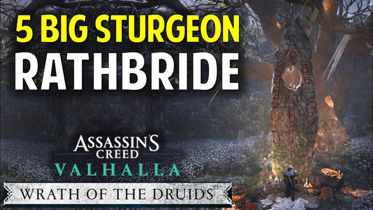 How to get Big Sturgeon Meath Offering Altar Rathbride AC Valhalla
