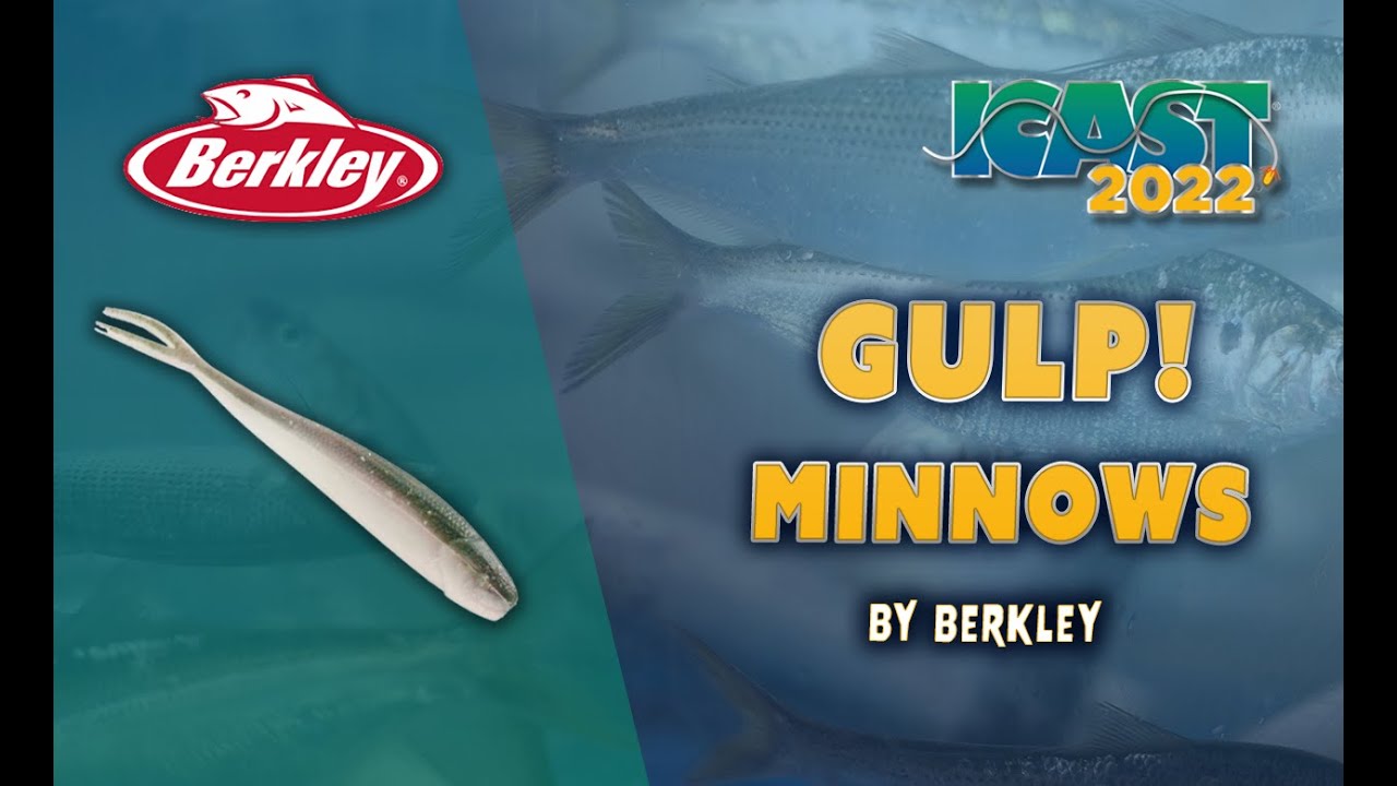 Product Highlight: Berkley Gulp Minnow New Shiner Colors