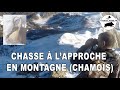 Chasse à l'approche en montagne (chamois)