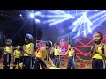 सत् चित आनन्दोत्सव वेदामृतम् 2024