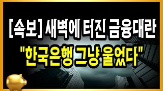 [속보]새벽에 터진 금융대란 한국은행 그냥 울었다