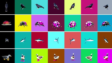 LATTE3D Text-to-3D Generative AI Model from NVIDIA Research