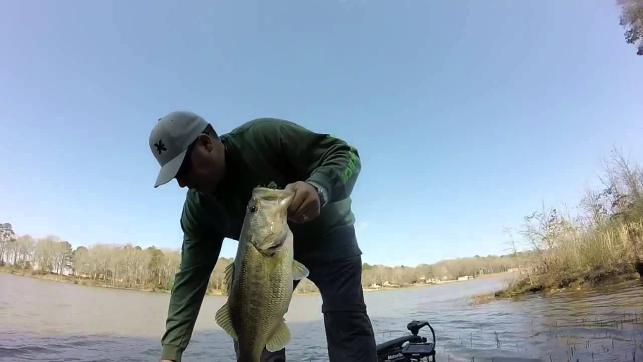Lake tobesofkee fishing Clearance