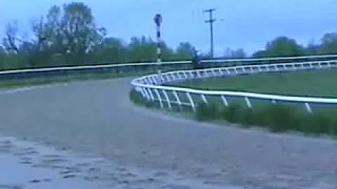 Galloping in Virginia