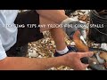 Bifacing tips and tricks for Agatized Coral