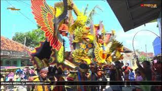 WONG KETELU - KA FARIZ || SINGA DANGDUT X-TREME PRATAMA PEMUDA PUTRA PUTRI PANJUNAN