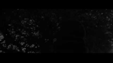 Crocodile Python (Official Video)