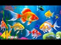 Aquarium 4K VIDEO (ULTRA HD) - Sea Animals With Relaxing Music - Rare &amp; Colorful Sea Life Video #13