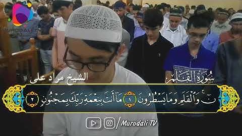 Teravih 2018 , Hafız Murat Ali Nematov , Kalem suresi / القارئ مراد على سورة القلم @MurodaliTv