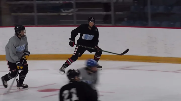 Niagara IceDogs Forward Ryan Struthers at the Rook...