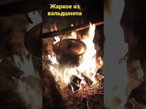 Сразу приготовили добытых