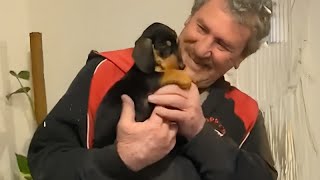 Man's dream came true with the puppy  Puppy Surprise 2023!