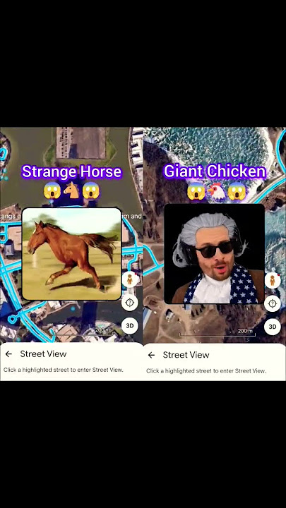 amazing search caught on Google Maps π±π | #earthsecret04 #lifeonearth #googlemaps #earth616 #earth