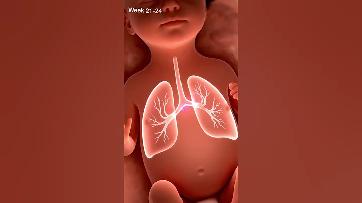 How life start inside mother's body😯 #shorts #anatomy #ai #aivideo