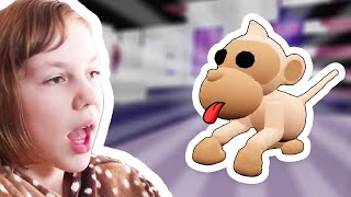 I LOST THE ALBINO MONKEY! -- Adopt Me  [Roblox]