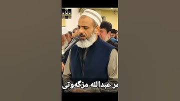 #عمر_عبدالله #تلاوةعراقية مؤثرة  #تلاوات #قران_كريم #تلاوة_هادئة #قرآن #تجويدعراقي #تلاوةخاشعة