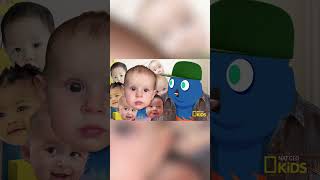 check out new york new years 50 birds 50 states atnatgeokids