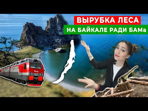 Вырубка леса на Байкале ради БАМа