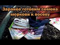 Подготовка семян моркови к посеву