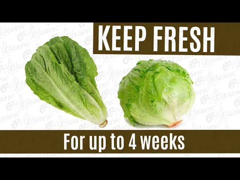 How To Store Lettuce to Keep It Fresh and Crisp