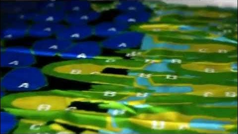 Ruizhou CNC Leather Cutting Machine - Automatic Nesting System