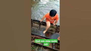 Đồng Tháp Quê Em Mùa Nước Nổi#shorts #short #video #tiktok #viral #viralvideo