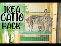 IKEA HACK | OUTDOOR CAT ENCLOSURE | APARTMENT BALCONY CATIO | CAT TREE IDEAS 2020 | DANIELA CARMELA