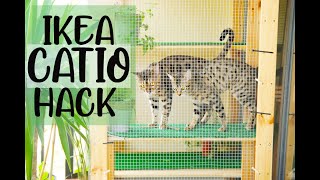 IKEA HACK | OUTDOOR CAT ENCLOSURE | APARTMENT BALCONY CATIO | CAT TREE IDEAS 2020 | DANIELA CARMELA