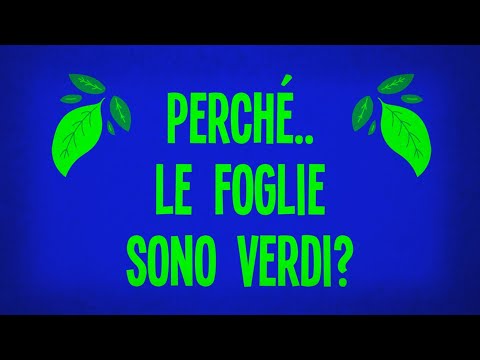 Video: Perché Le Foglie Sono Verdi?