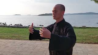 Tai Chi Cl 1 Zhan Zhuang