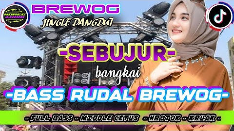 DJ CEK SOUND FULL BASS TERBARU 2025 SEBUJUR BANGKAI RHOMA IRAMA DANGDUT NROTOK ANDALAN KRNAVAL HOREG