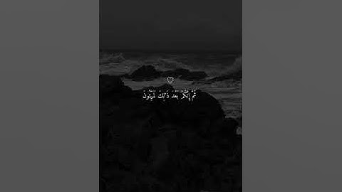 #الله #محمد #السعودية #قرآن #القرآن_الكريم #ماهر_المعيقلي #islam #تلاوات #مكة #دعاء #اسطنبول #turkey