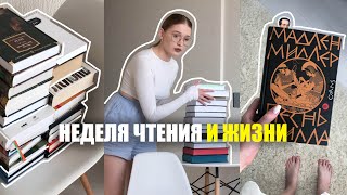 неделя чтения и жизни одной: новые книги, перестановка на полках, домашняя рутина✨