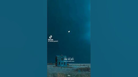 الاول مره اسمع تلاوة باهذا الجمال(القـــارئ اصـــغــير عبــــدالـــلــه أحمد شعبان)🥺#راحة_نفسية