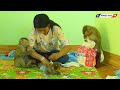 Adorable Brother Monkey KAKO Help MOM Take Diaper And Clothes Wearing For Sister Baby LUNA