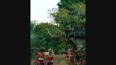 Selendang Sutra
