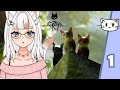 🐈Strey8_vt no grays welcome🐈 [Stray]