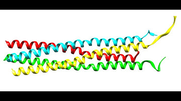 Coiled-coil deformations in crystal structures. 3