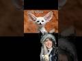 Fennec fox facts!! #fennecfox #animalfacts #animals #gothgirl #fypシ #zoology #foxes
