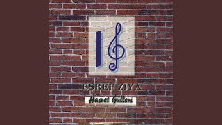 Vatanım Benim (Enstrümantal) Resimi