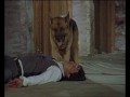 Rex chien flic - La mort de Moser