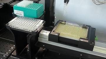 Fully Automated Clone Selection: Biomek i-Series Integrated Solutions