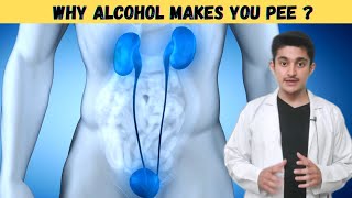 Why alcohol makes you pee urination | headache after drinking alcohol | cirrhosis of liver animation