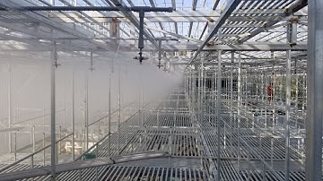 Tư vấn, cung cấp thiết bị và thi công giàn tưới phun sương tự động